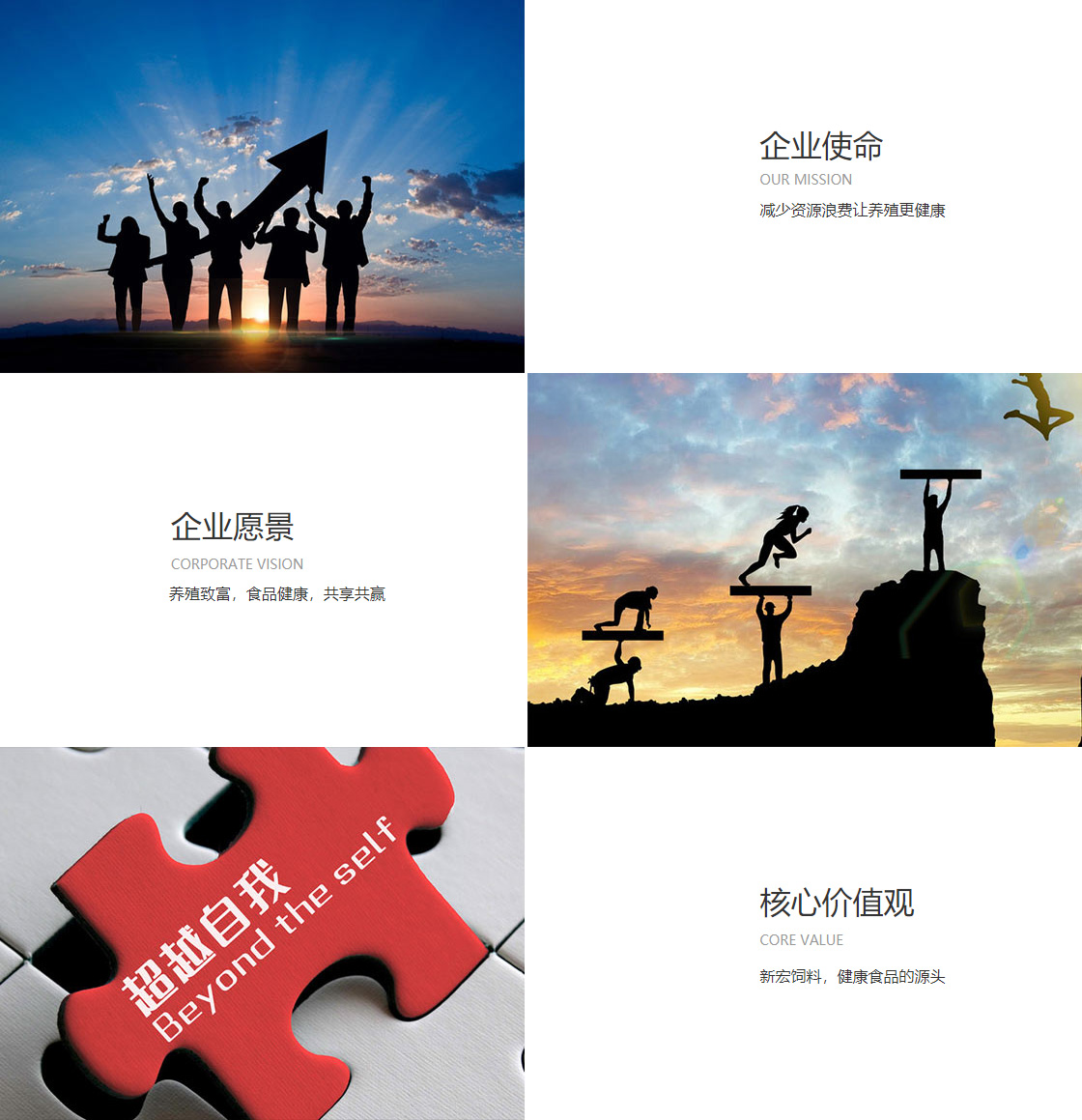 博鱼电竞网站(图1)
